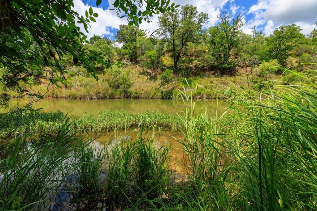 16.29 acres in Gillespie County - photo 40