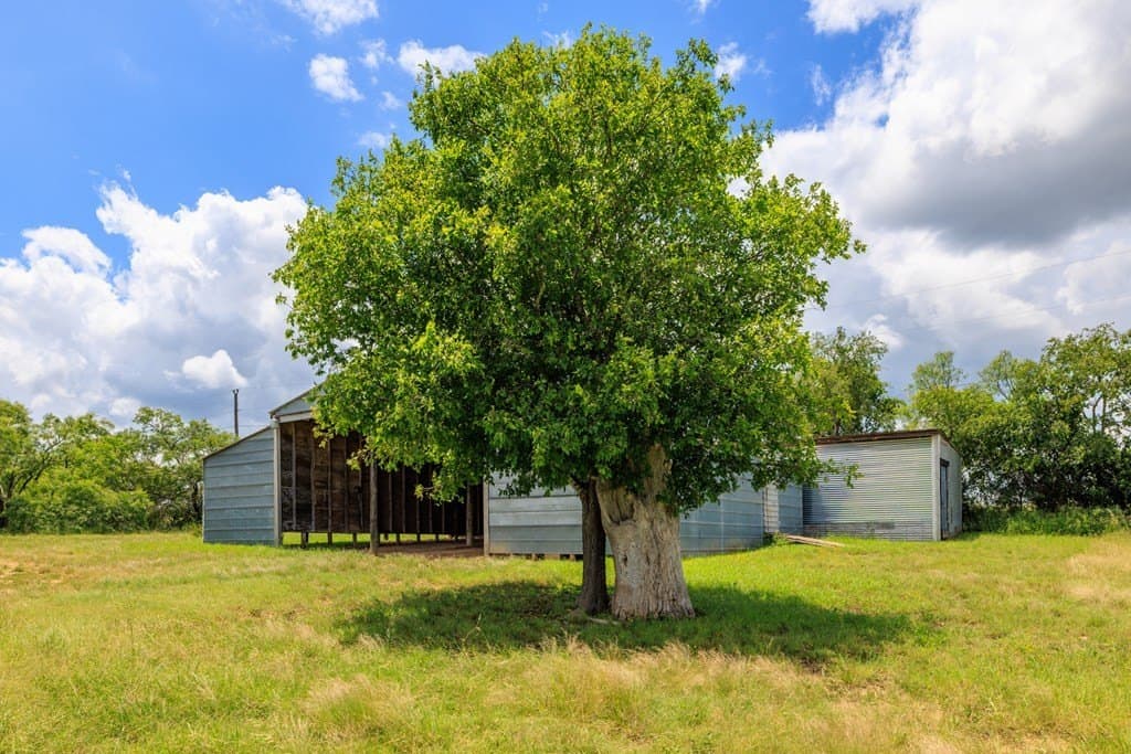 16.29 acres in Gillespie County - photo 31
