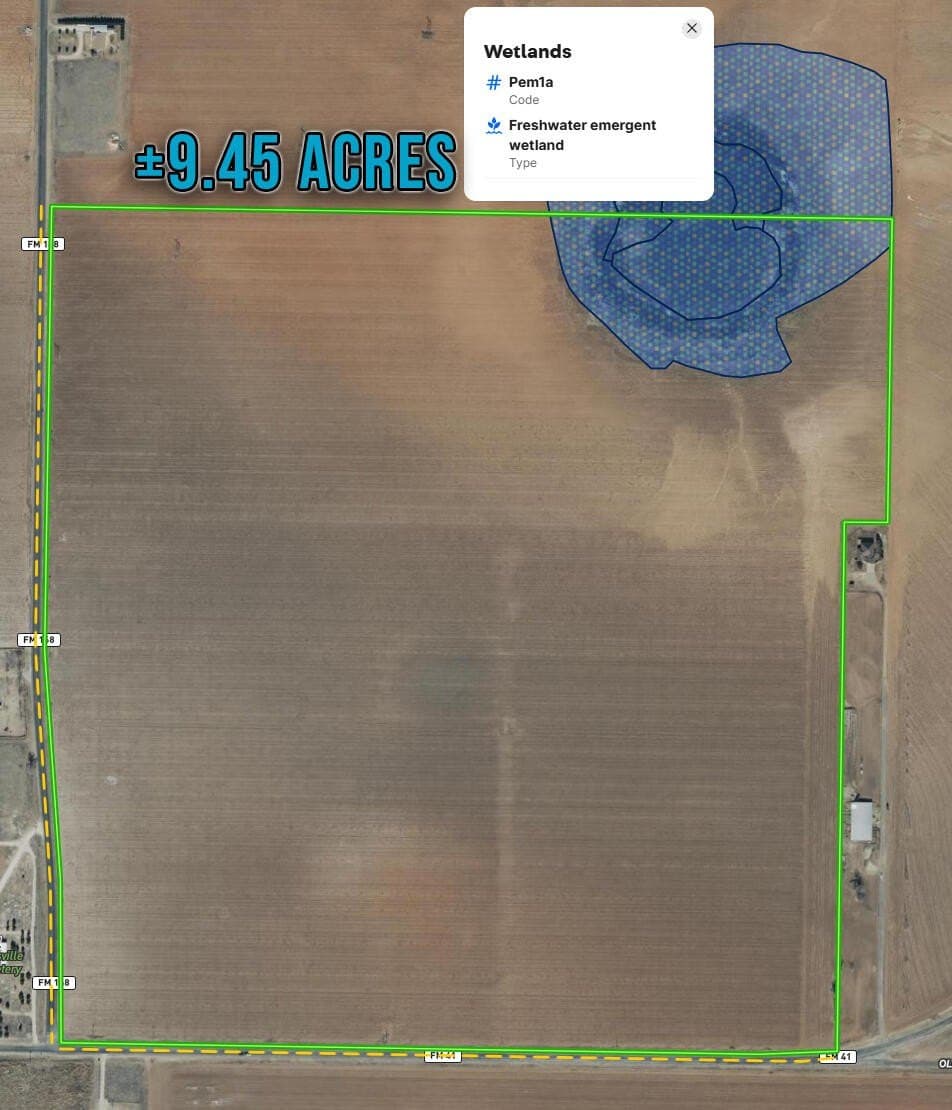 172.03 acres in Hockley County - photo 11