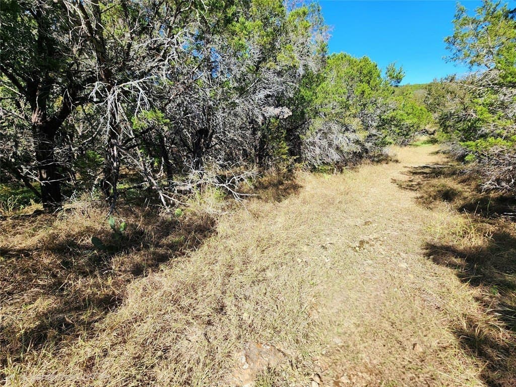 0.24 acres in Burnet County - photo 12