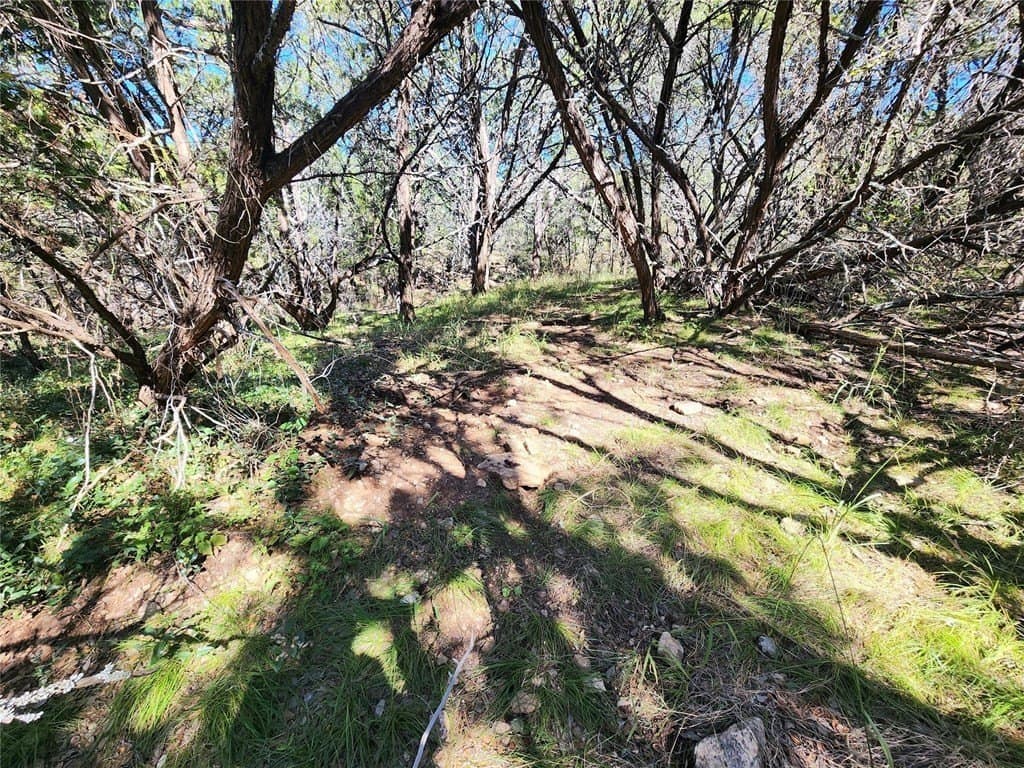 0.24 acres in Burnet County - photo 9