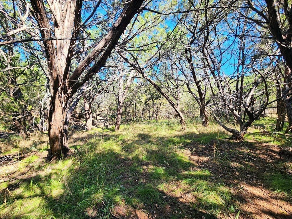 0.24 acres in Burnet County - photo 8