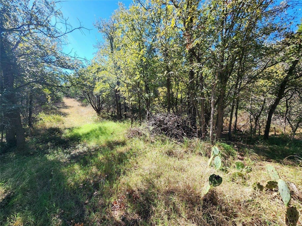 0.24 acres in Burnet County - photo 10