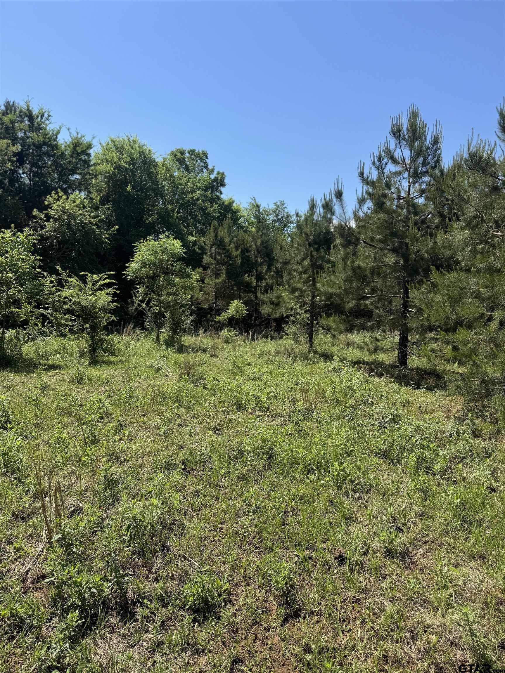 10.5 acres in Cherokee County - photo 9