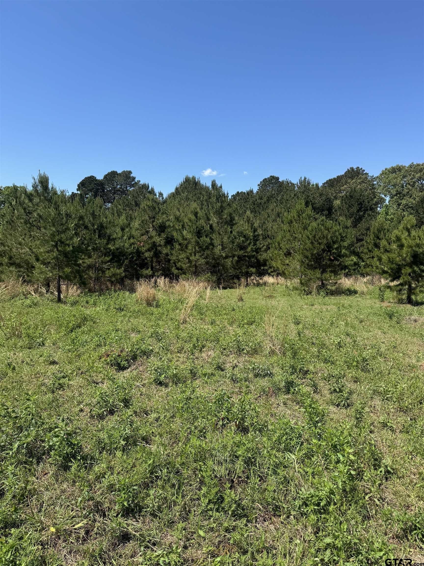 10.5 acres in Cherokee County - photo 11