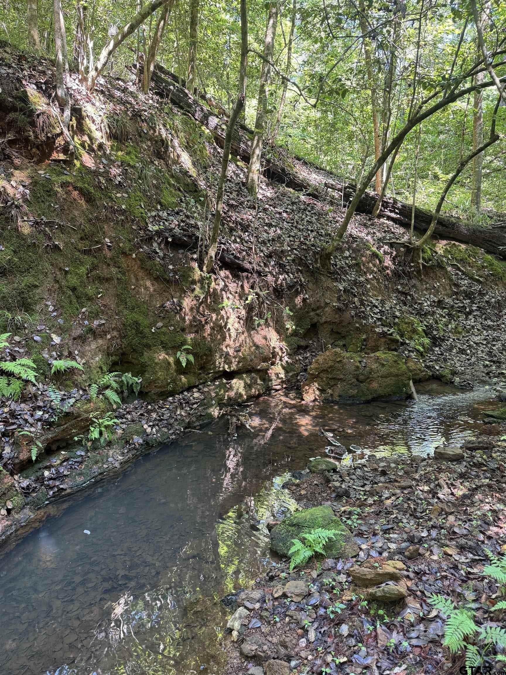 10.5 acres in Cherokee County - photo 7