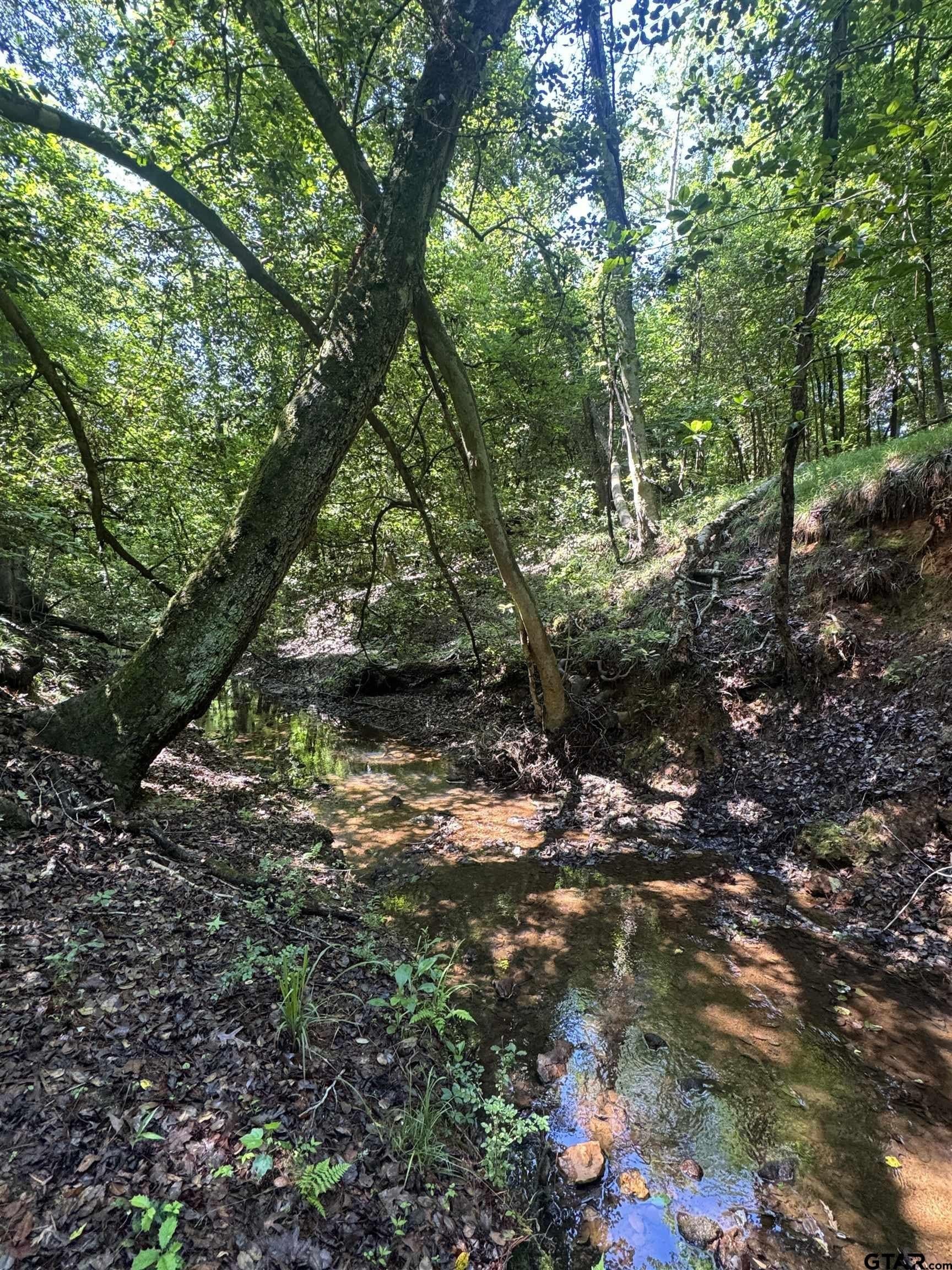 10.5 acres in Cherokee County - photo 6