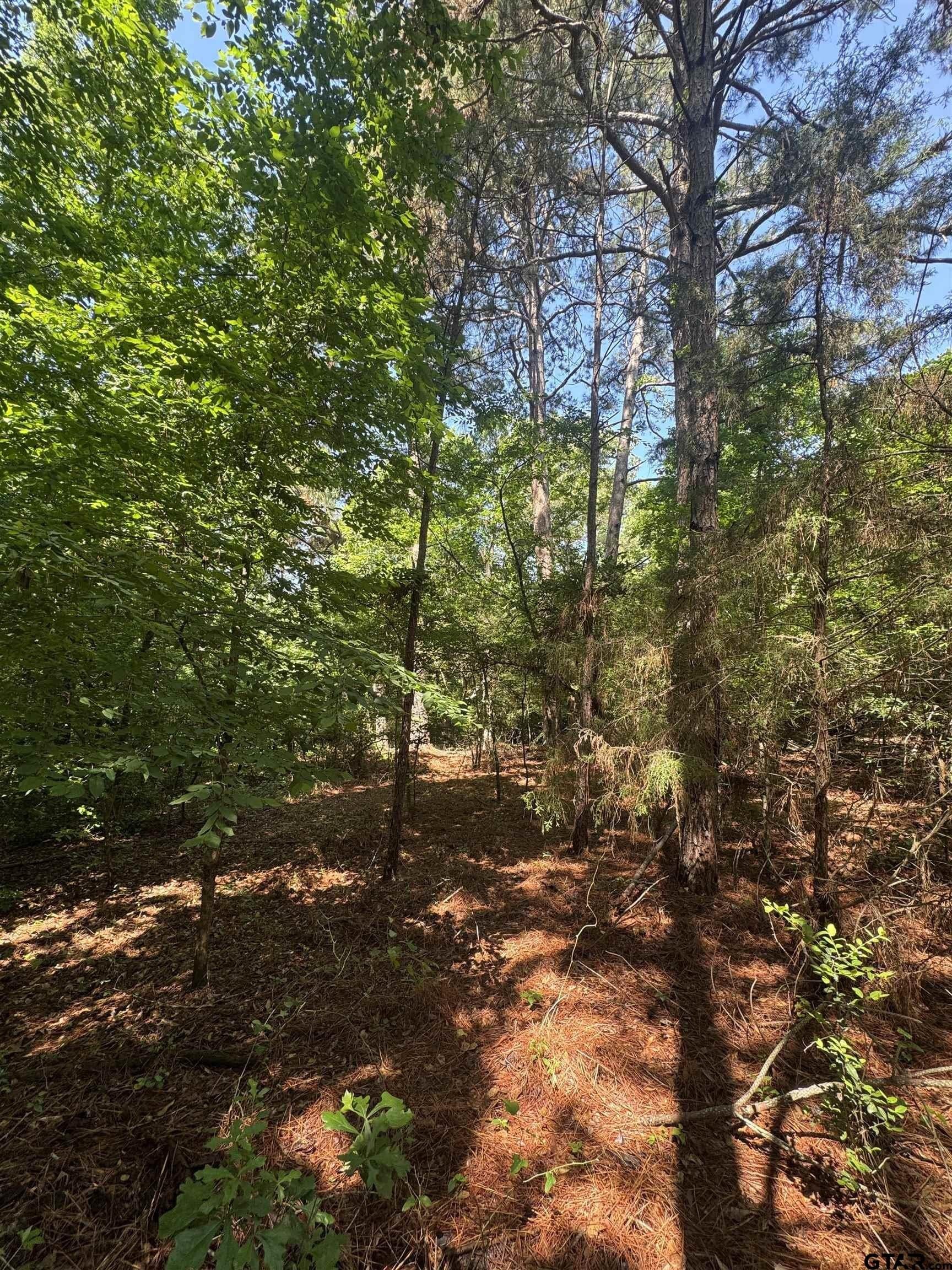 10.5 acres in Cherokee County - photo 12