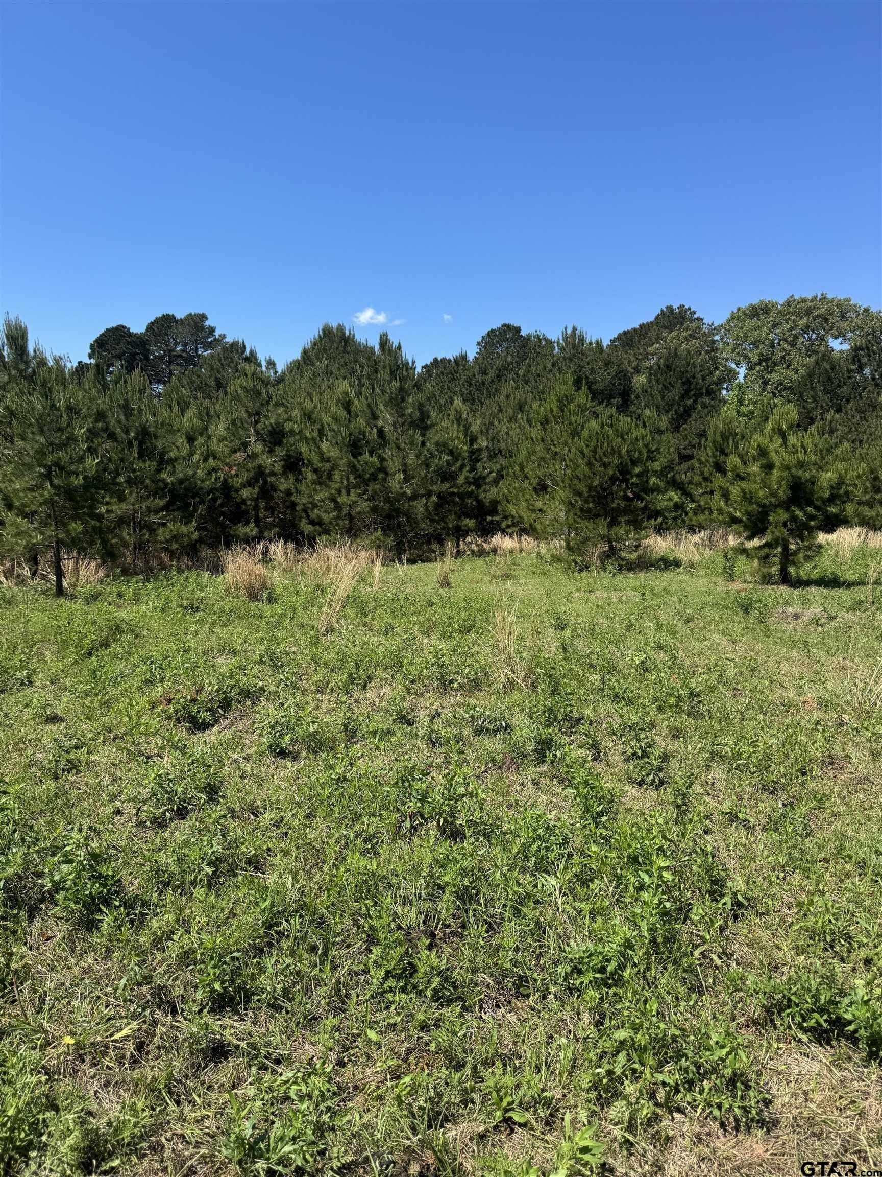 10.5 acres in Cherokee County - photo 10