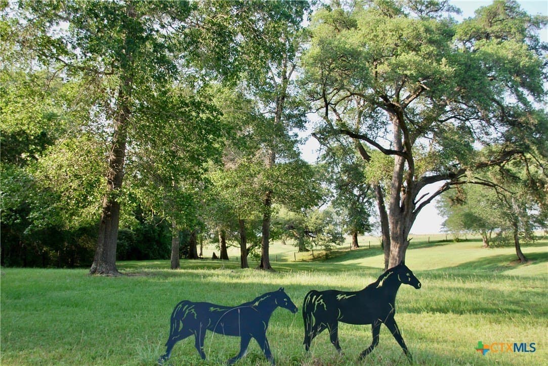 35.28 acres in Fayette County - photo 8
