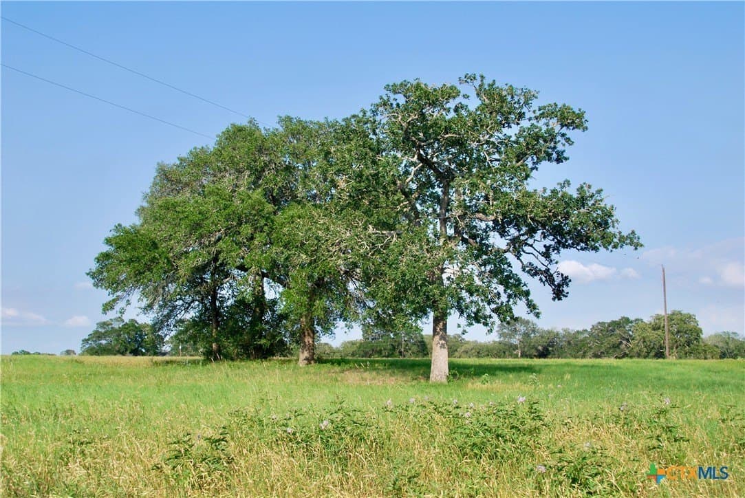 35.28 acres in Fayette County - photo 45