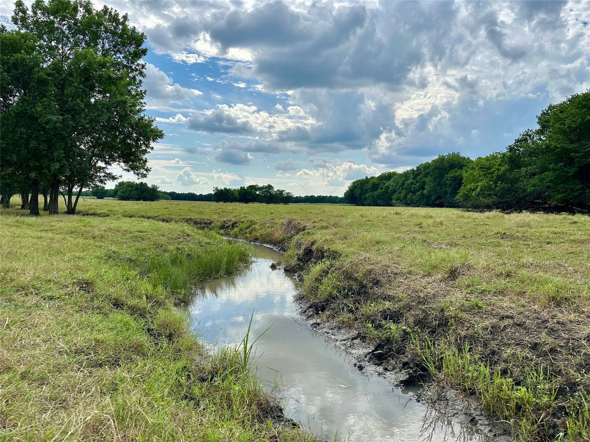 100.57 acres in Delta County gallery image 2