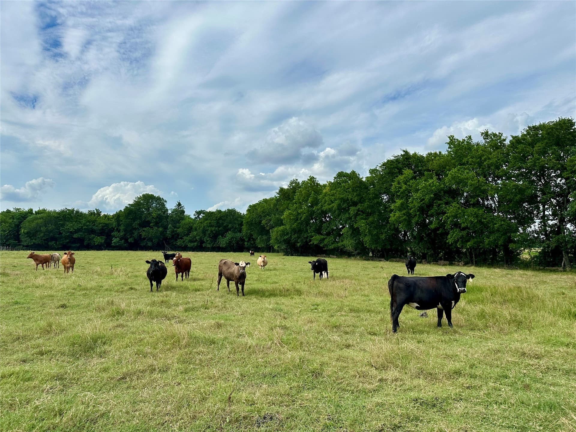 100.57 acres in Delta County gallery image 4