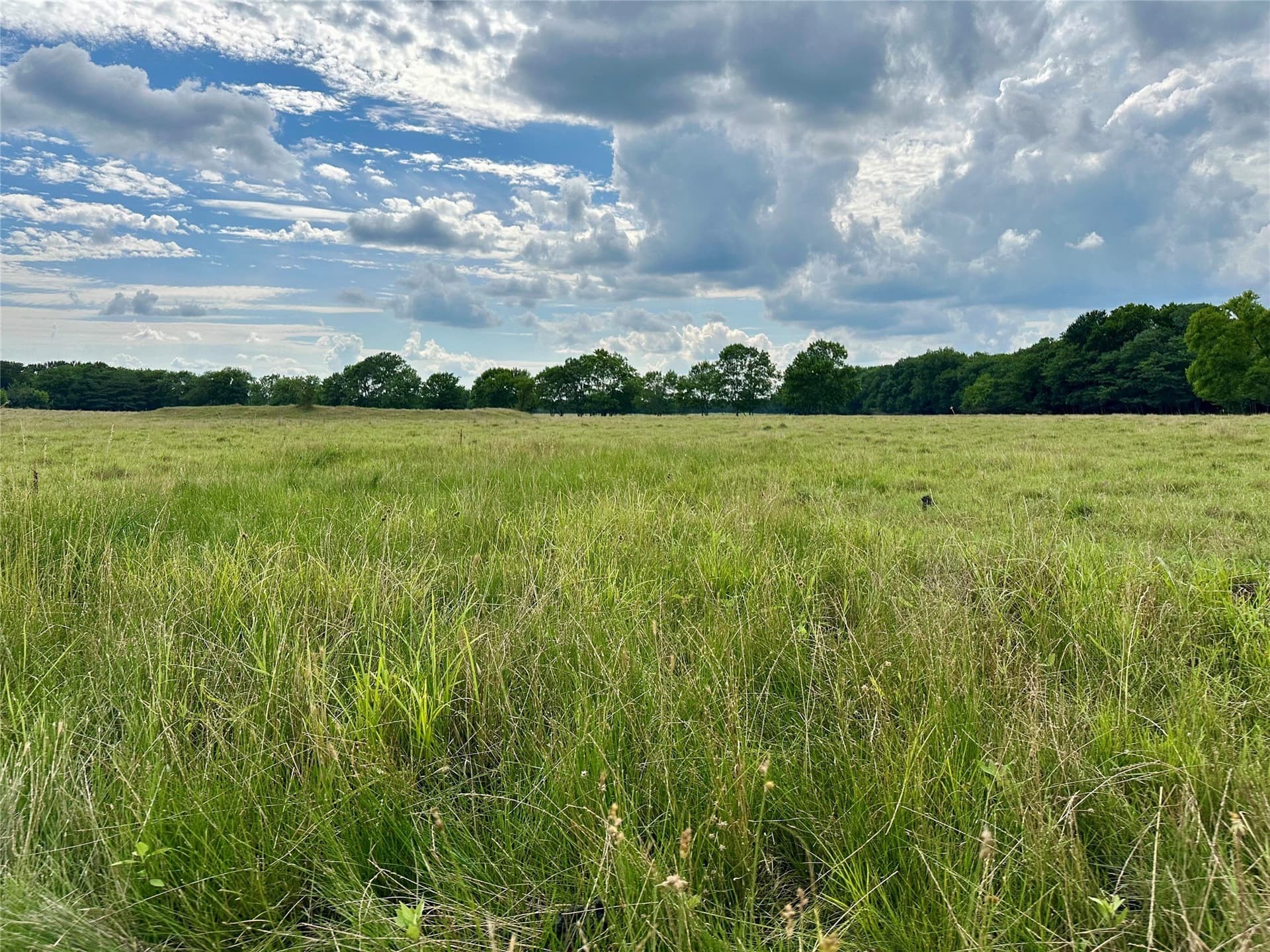 100.57 acres in Delta County