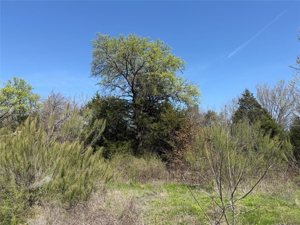 2.96 acres in Tarrant County gallery image 4