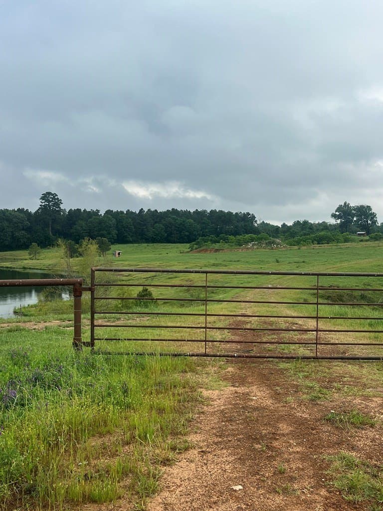 40.97 acres in Texas County gallery image 2