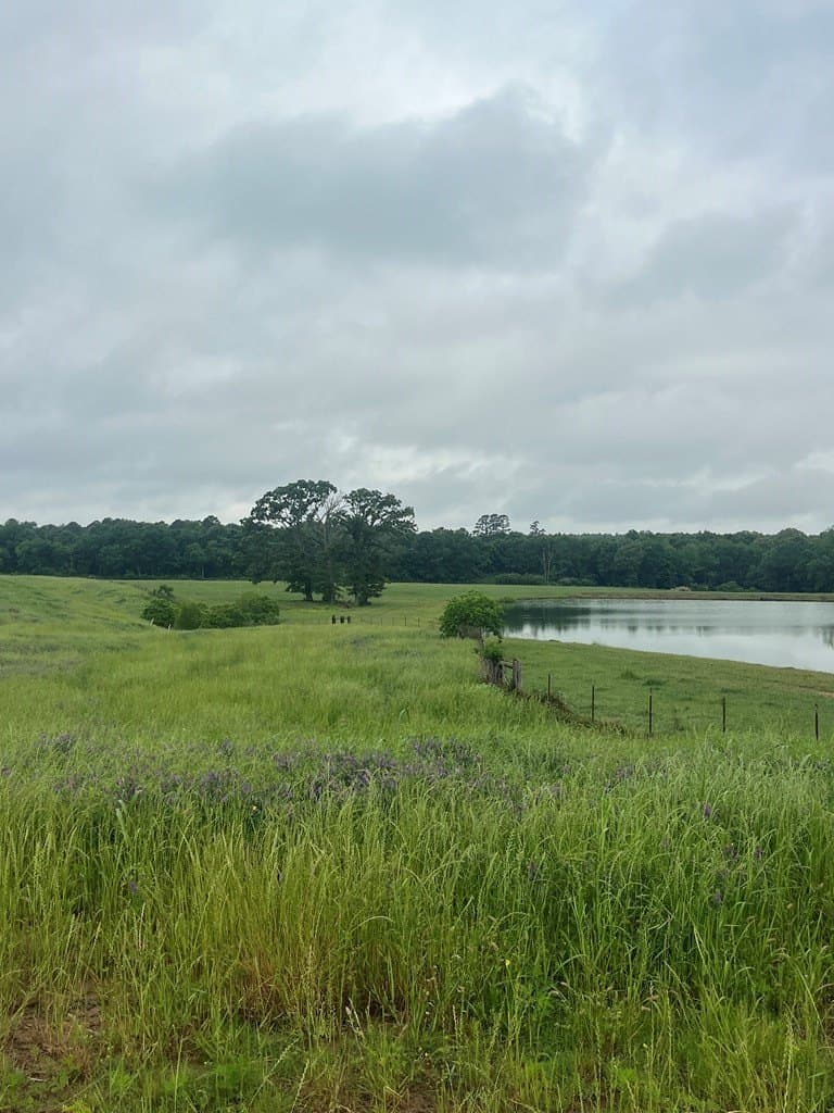 40.97 acres in Texas County gallery image 4