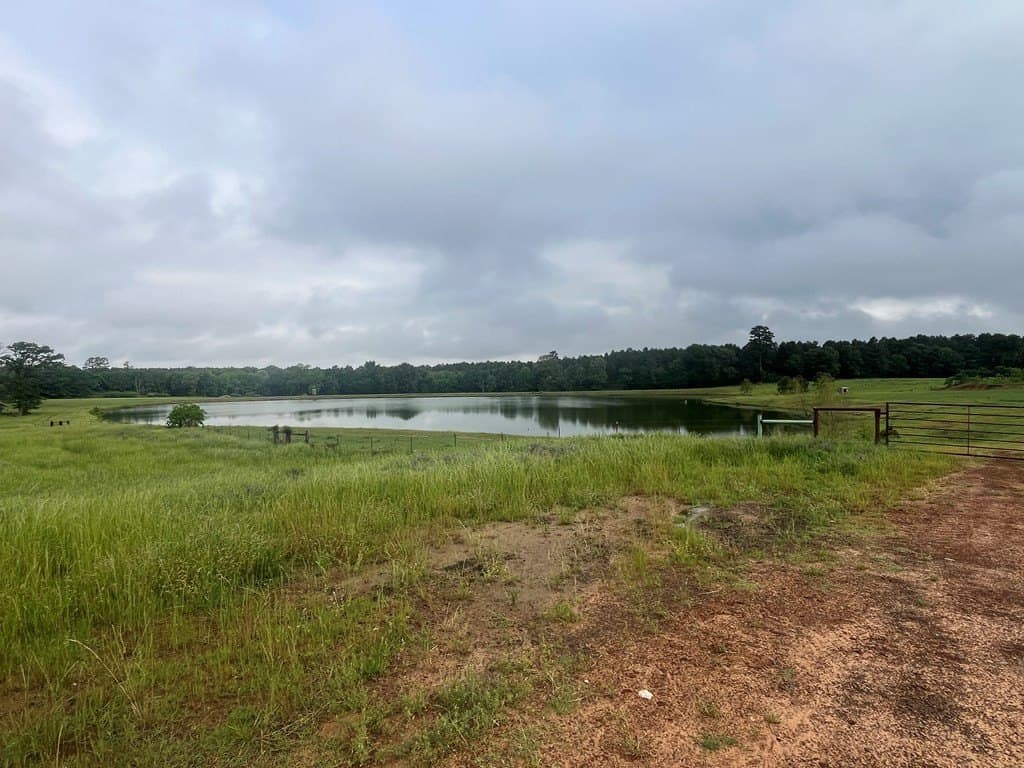 40.97 acres in Texas County gallery image 3