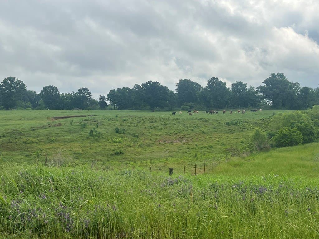 40.97 acres in Texas County featured view