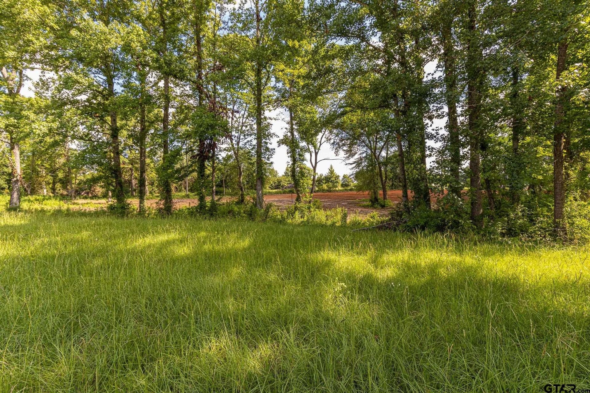 3.35 acres in Smith County gallery image 4