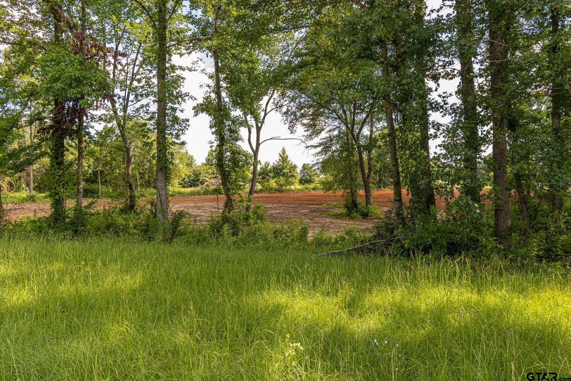 3.35 acres in Smith County gallery image 3