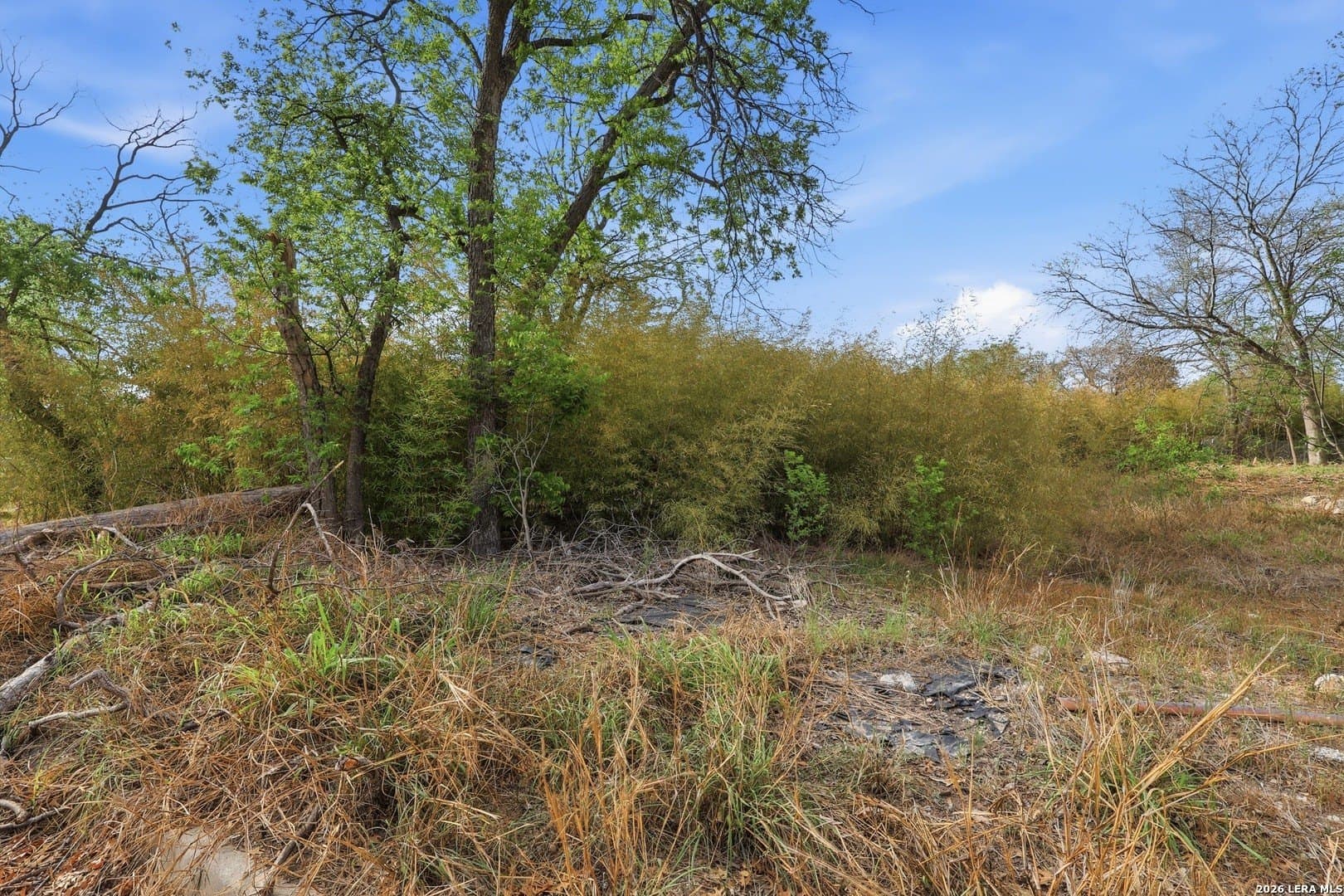 0.12 acres in Bexar County - photo 13
