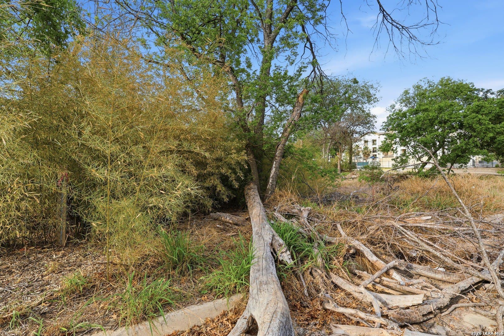 0.12 acres in Bexar County - photo 12