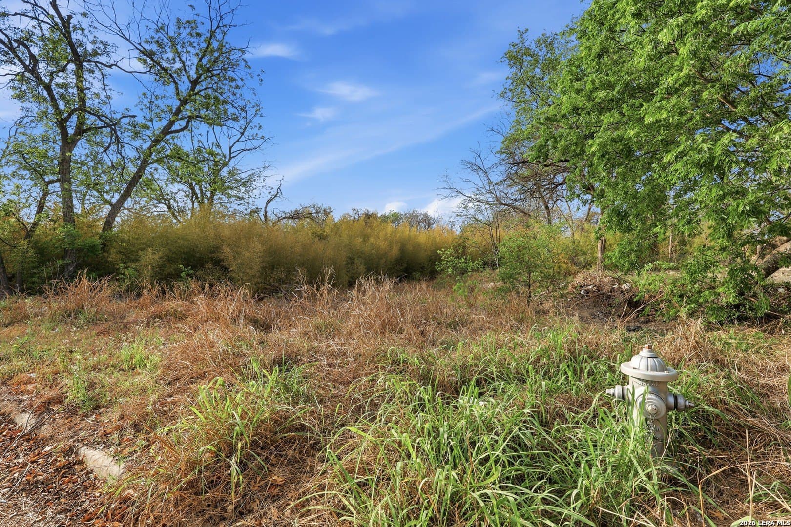 0.12 acres in Bexar County - photo 15