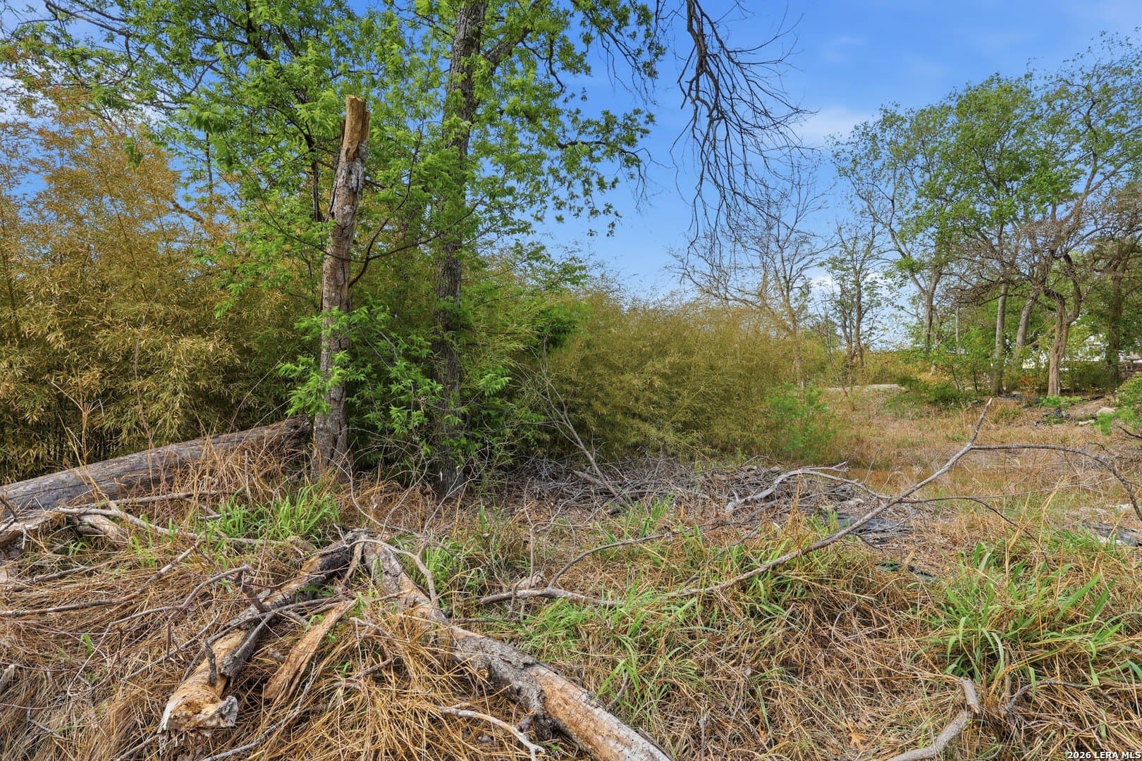 0.12 acres in Bexar County - photo 11