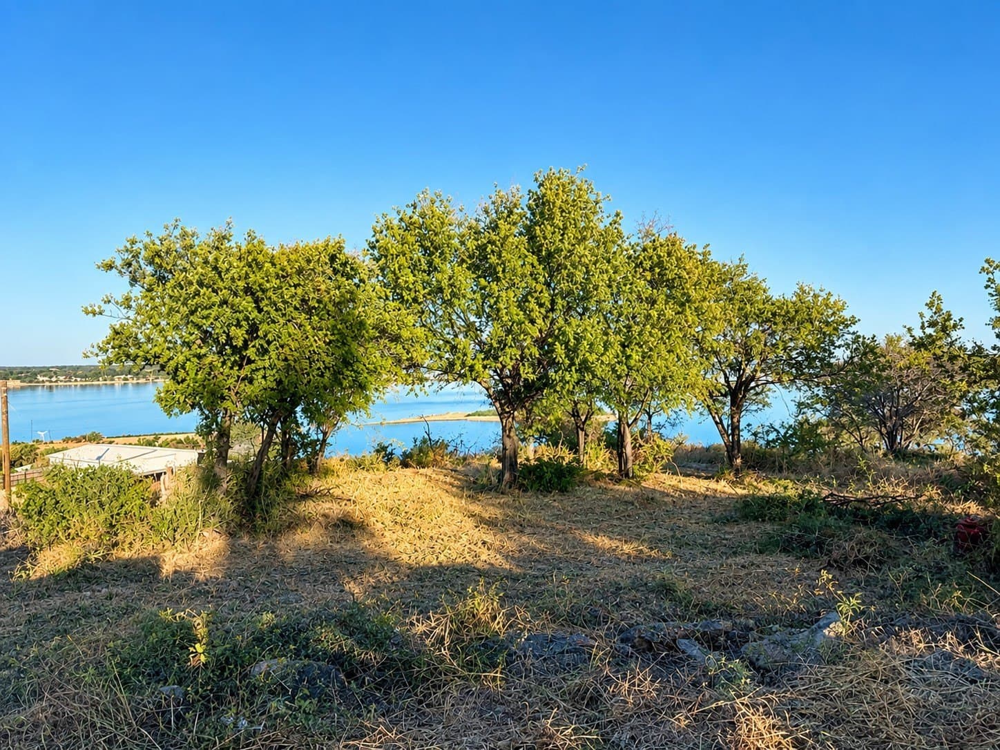 1.22 acres in Wise County - photo 9