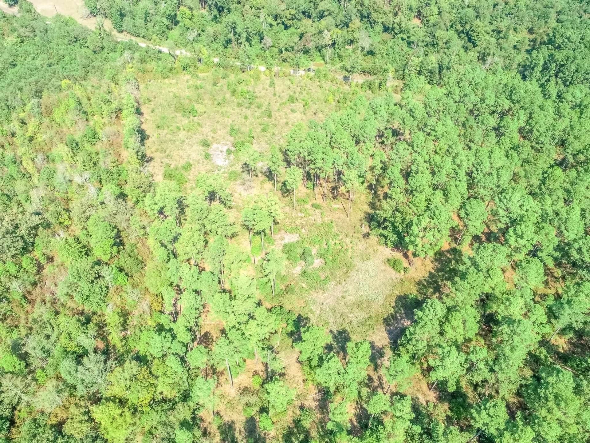 5 acres in Upshur County - photo 9