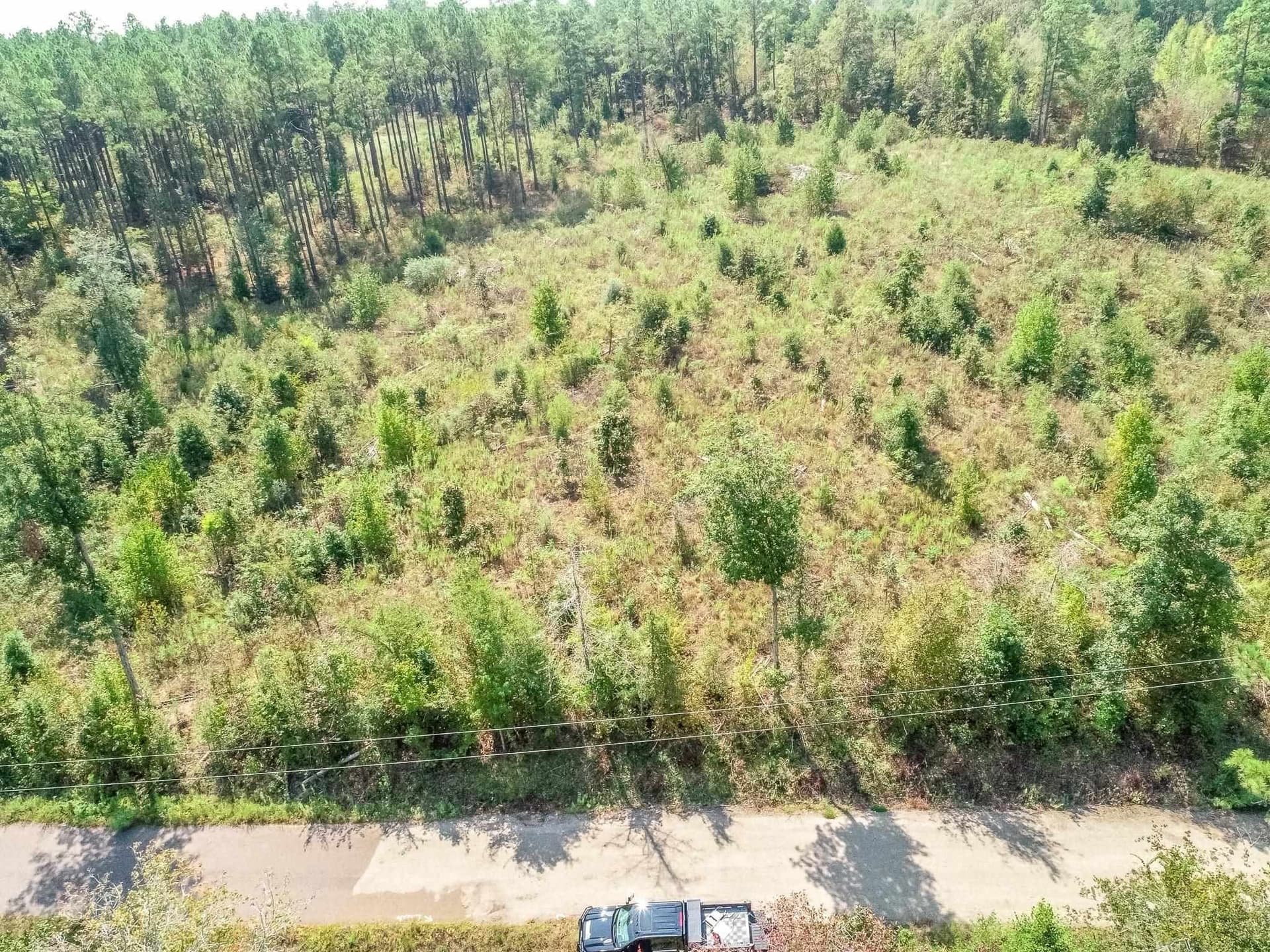 5 acres in Upshur County - photo 5