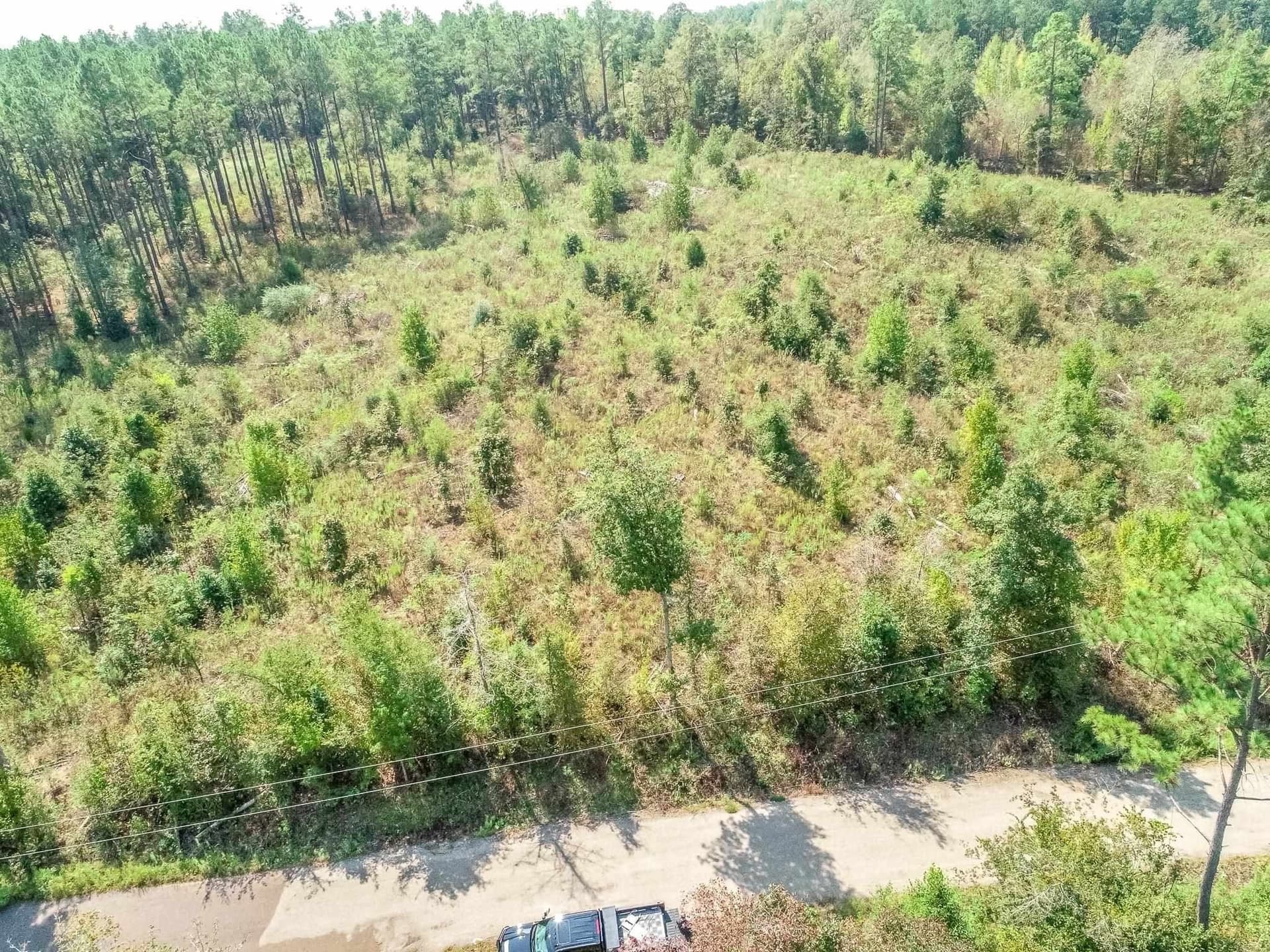 5 acres in Upshur County - photo 6