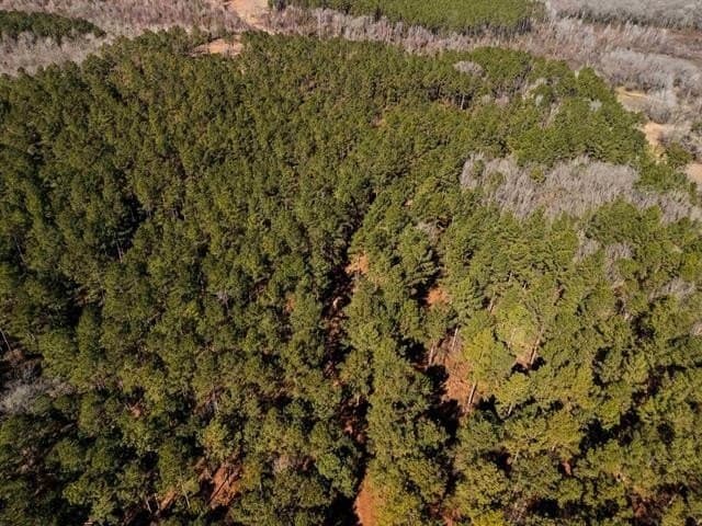 5 acres in Upshur County - photo 3