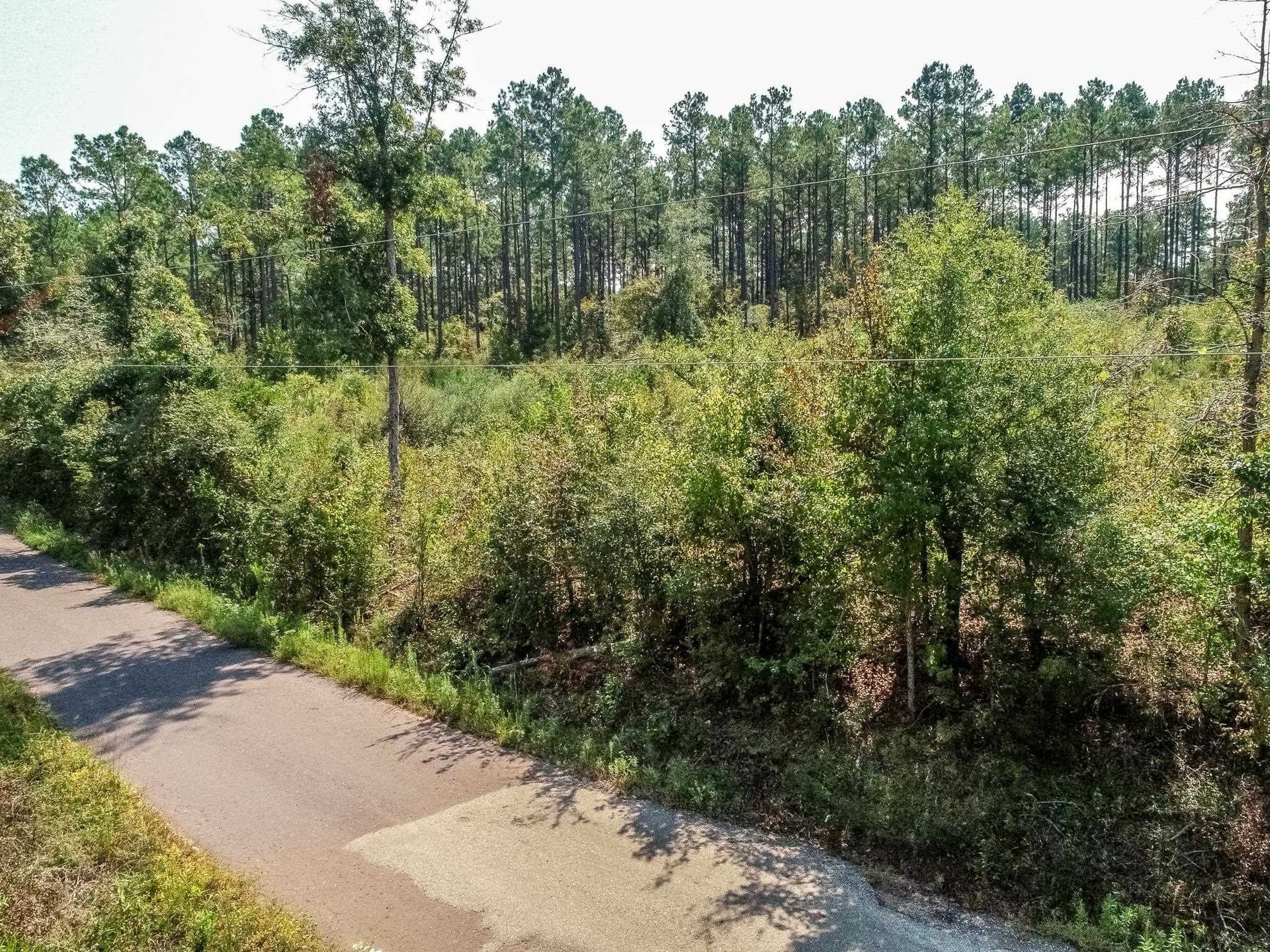 5 acres in Upshur County - photo 11