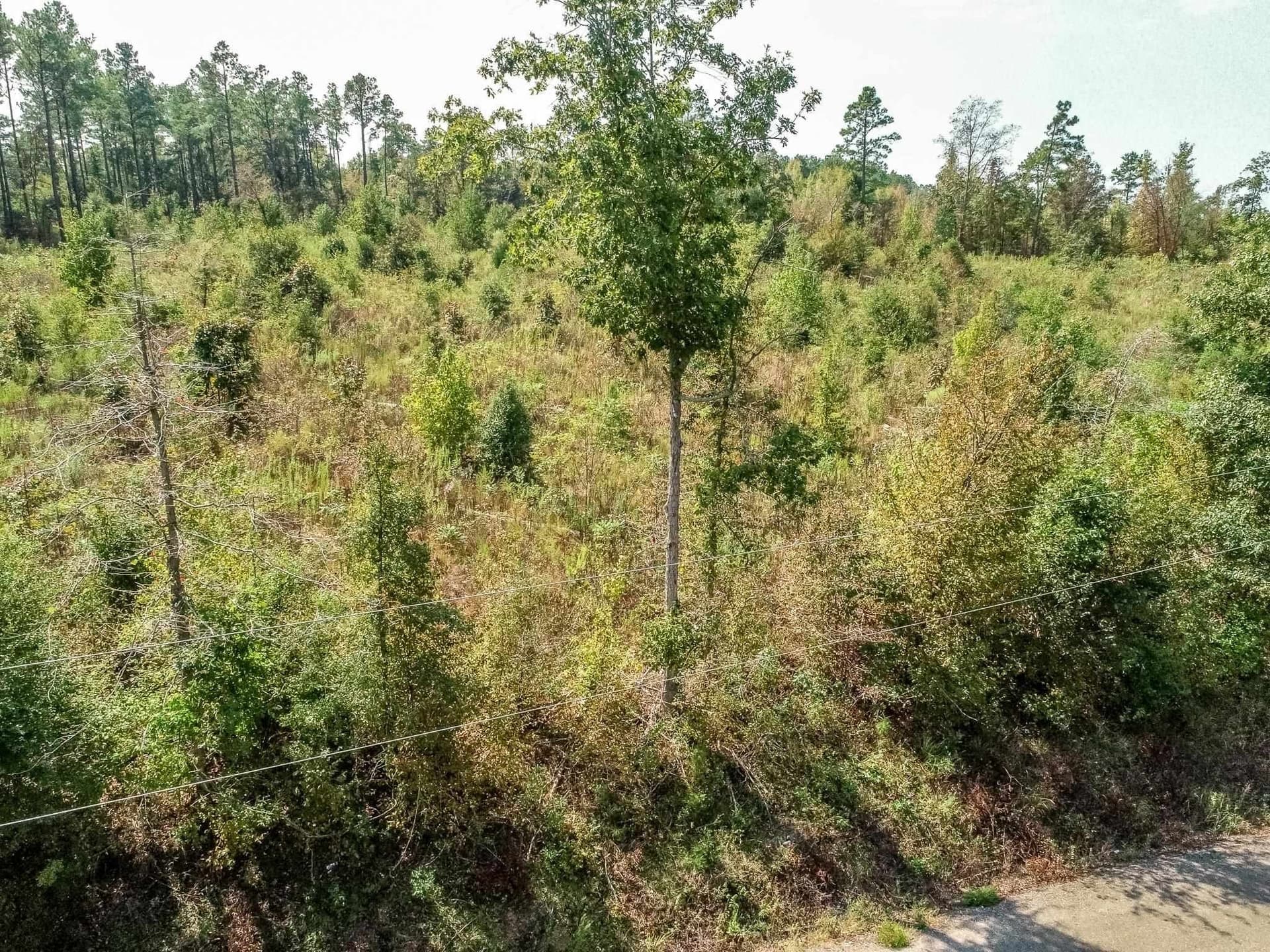 5 acres in Upshur County - photo 10