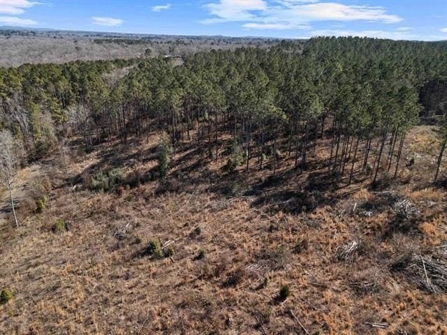 5 acres in Upshur County - photo 2