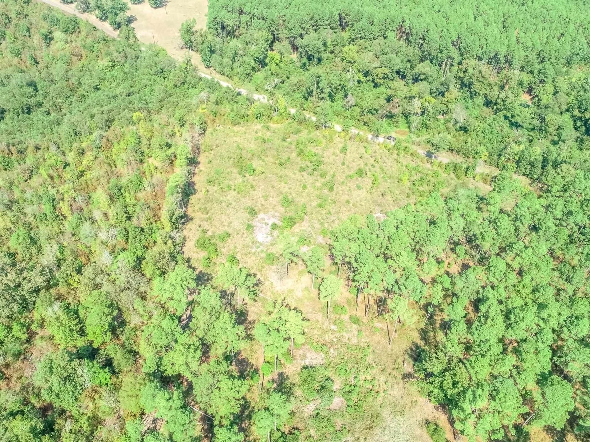 5 acres in Upshur County - photo 8