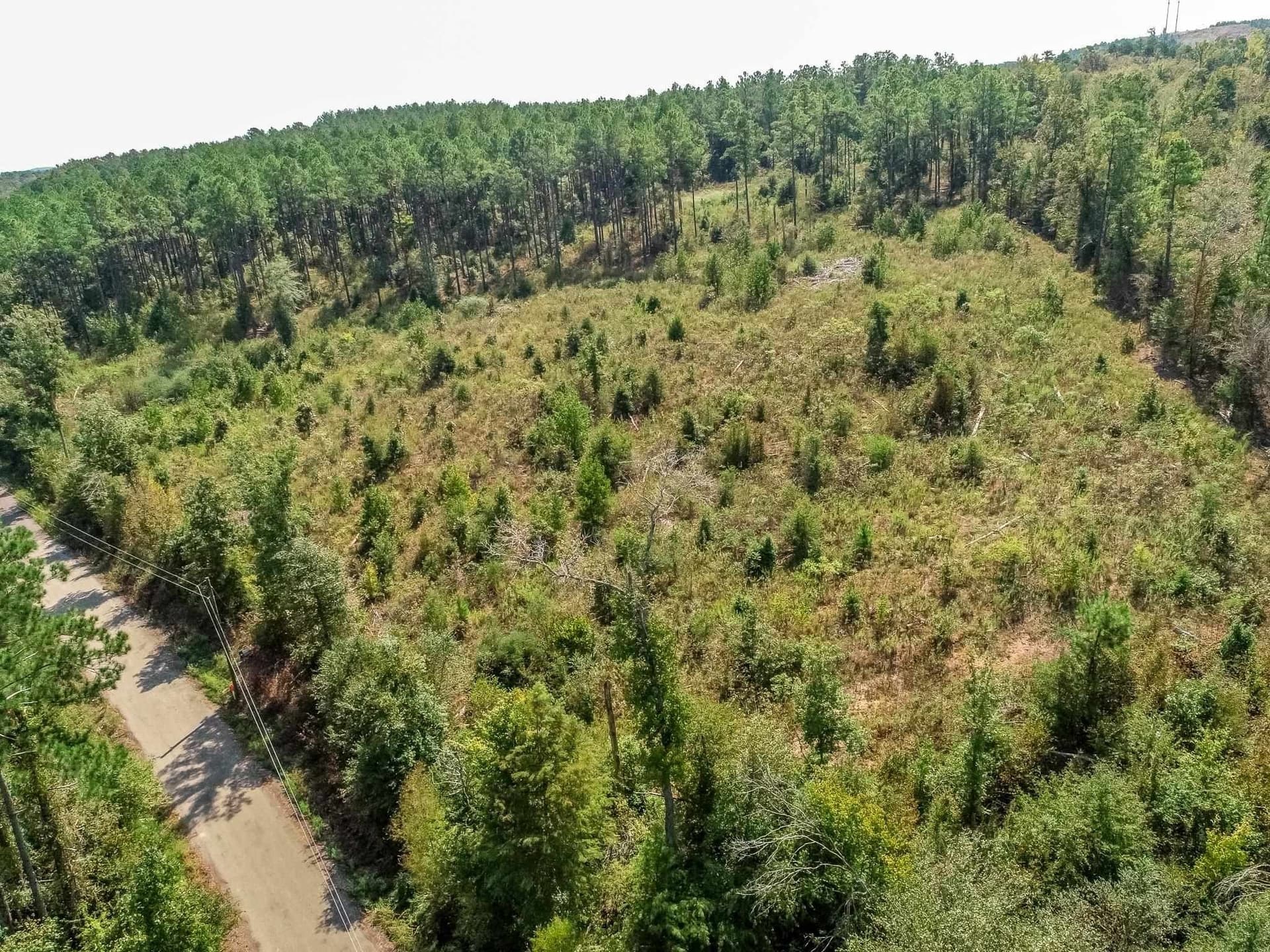 5 acres in Upshur County - photo 7