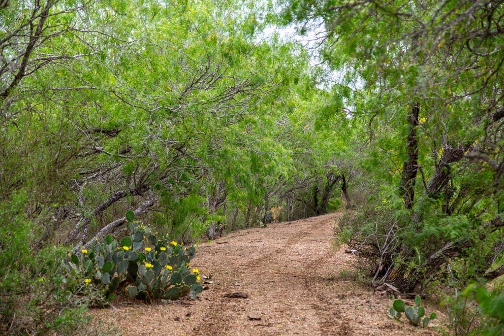 97.24 acres in Wilson County - photo 22