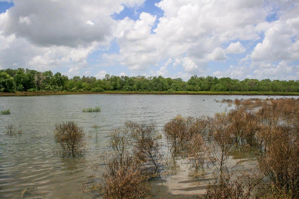 97.24 acres in Wilson County - photo 21