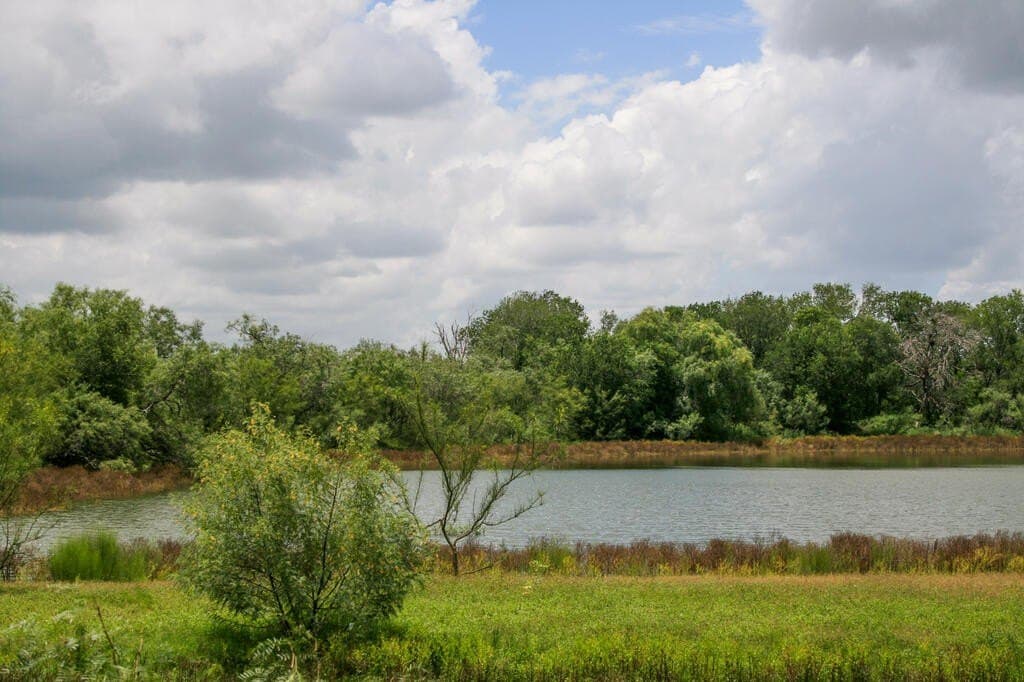 97.24 acres in Wilson County - photo 4