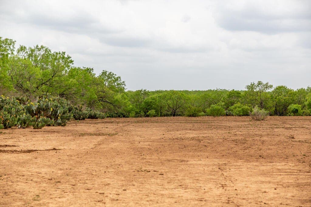 97.24 acres in Wilson County - photo 20