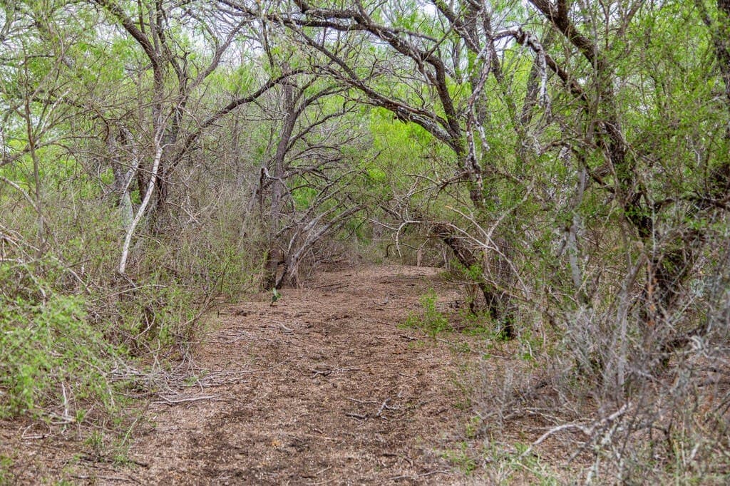 97.24 acres in Wilson County - photo 27