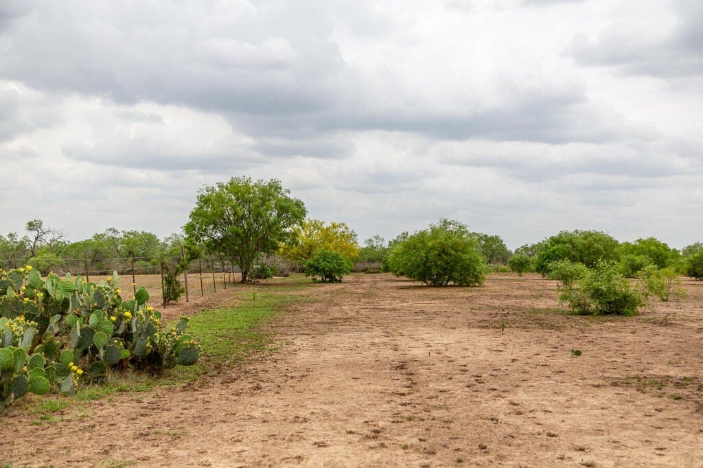 97.24 acres in Wilson County - photo 19