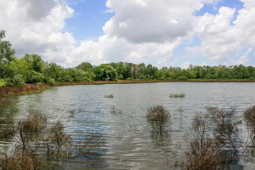 97.24 acres in Wilson County - photo 5
