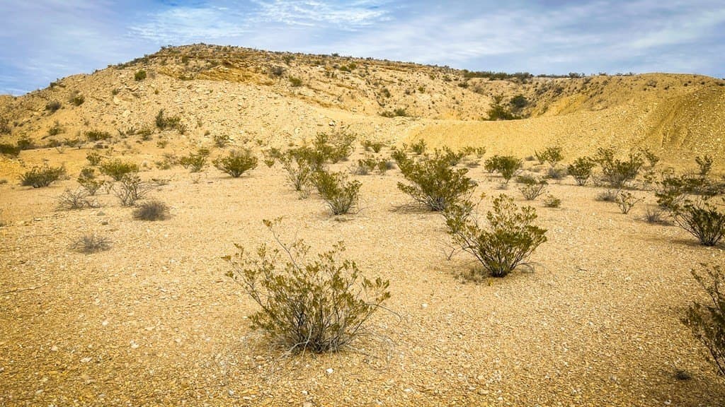 5 acres in Brewster County featured view