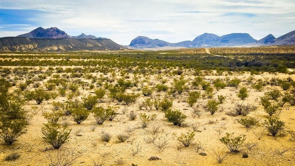 5 acres in Brewster County