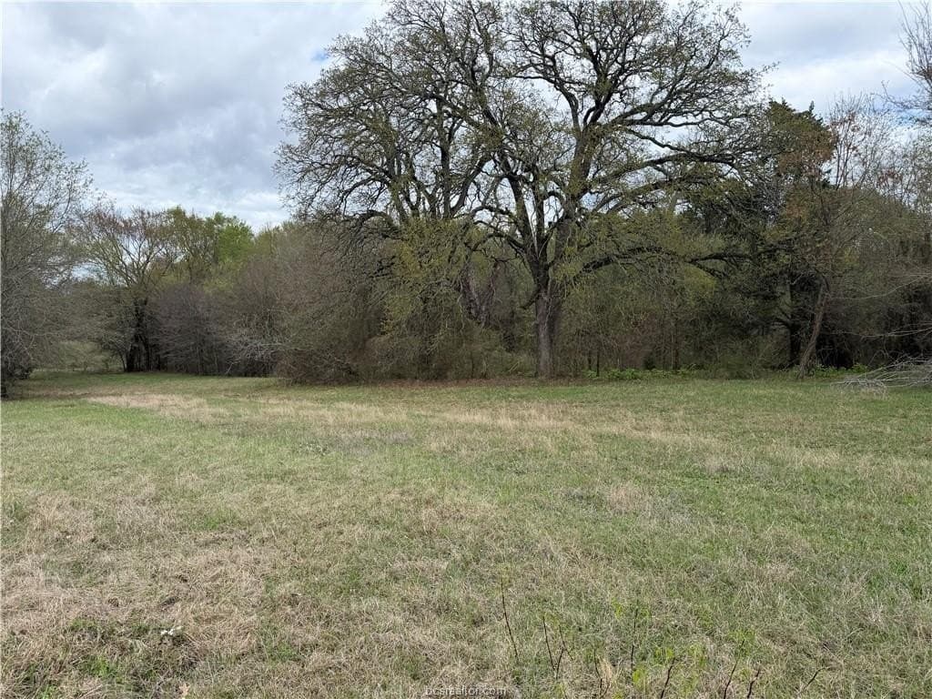 34.25 acres in Texas County gallery image 2