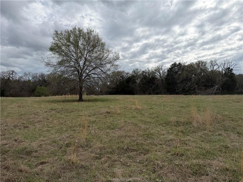 34.25 acres in Texas County featured view